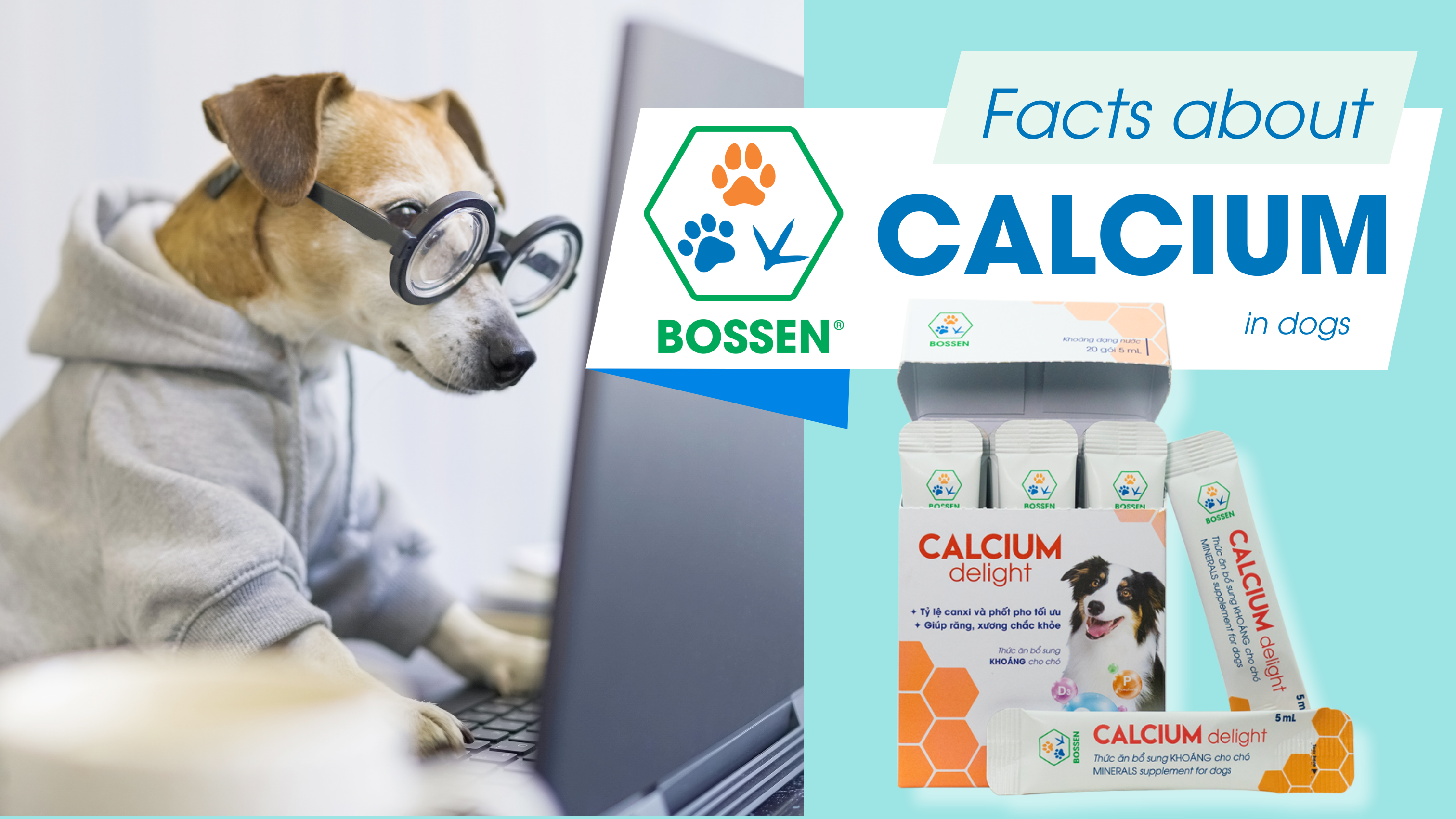 Hình ảnh bài viết