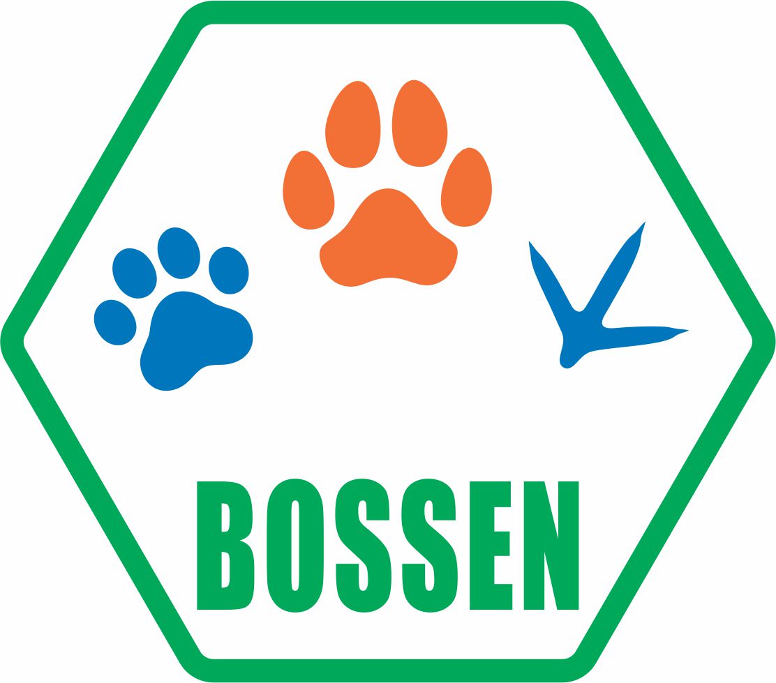 Bossen