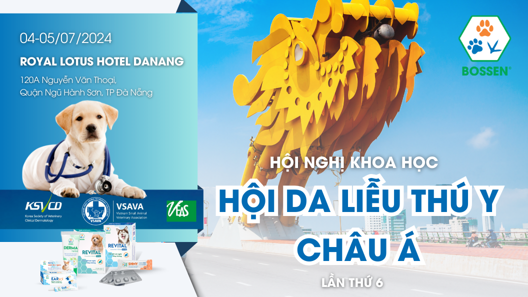 Hình ảnh bài viết