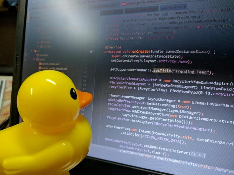 Kỹ thuật debug đỉnh cao Rubber ducking CodeLearn